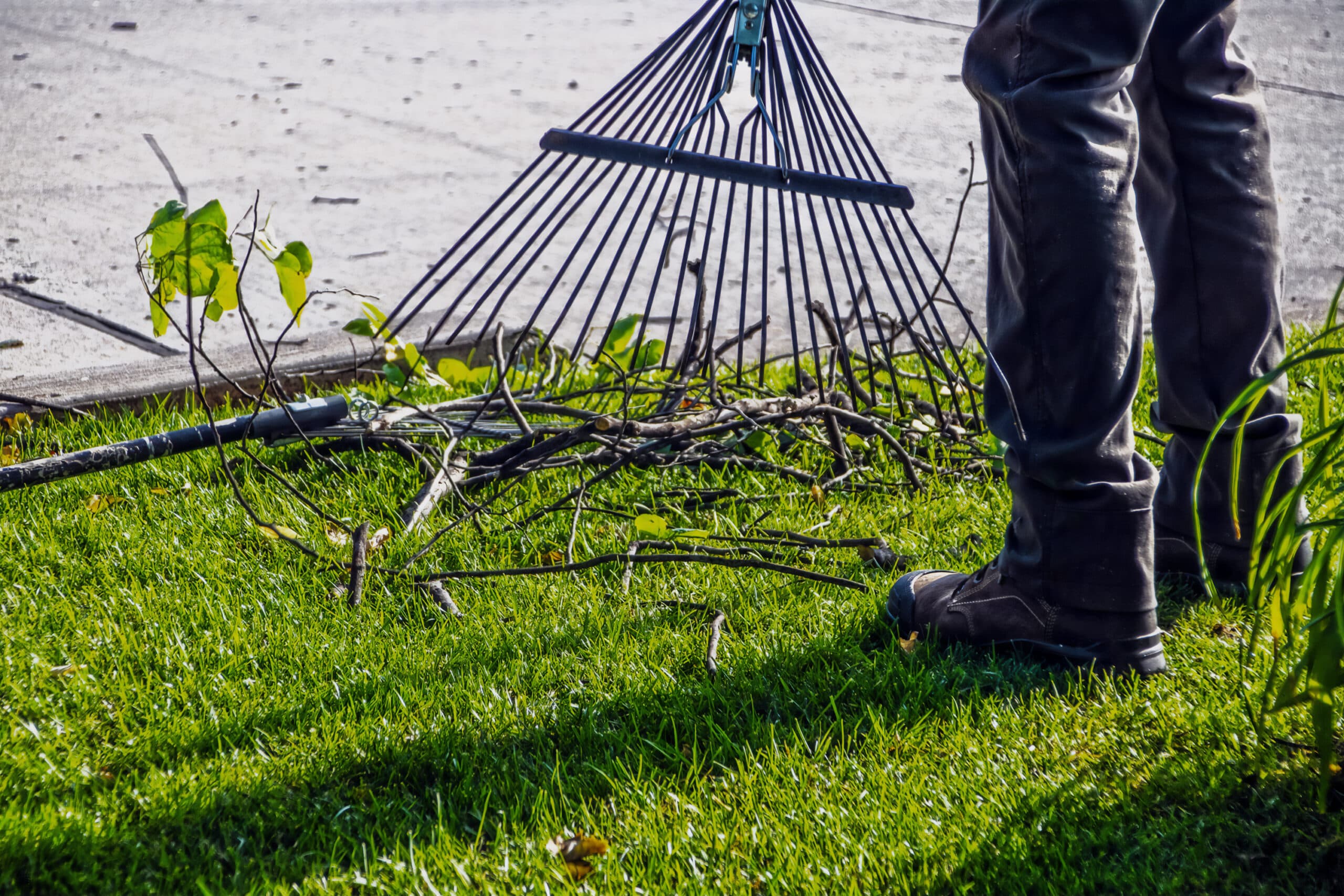 spring fence clean up image