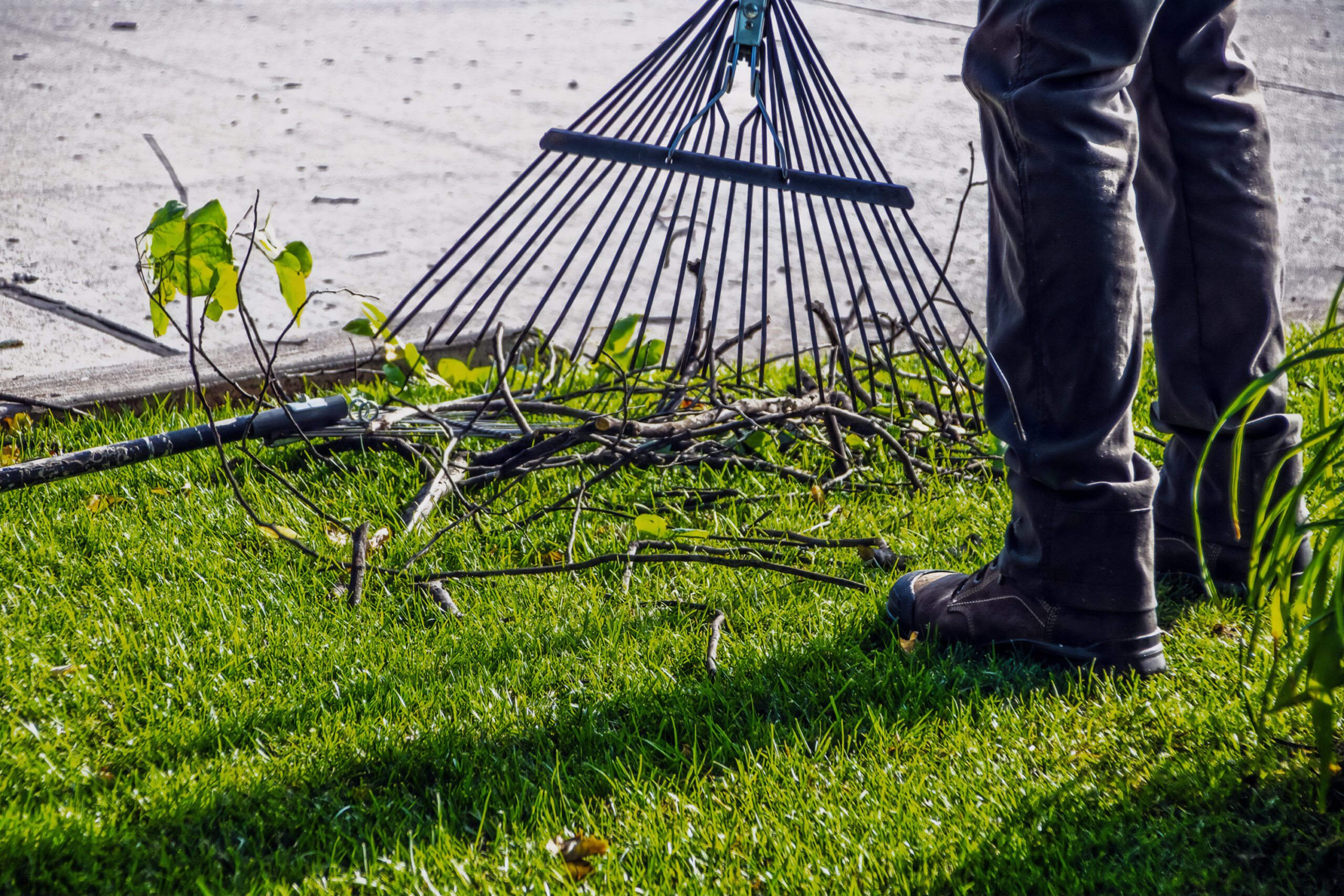 spring fence clean up image